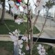 <p>Oyuncak Müzesi önünde; 3-4 ay içinde intibak eden Sakura. Arzu Yücel çekti.</p>